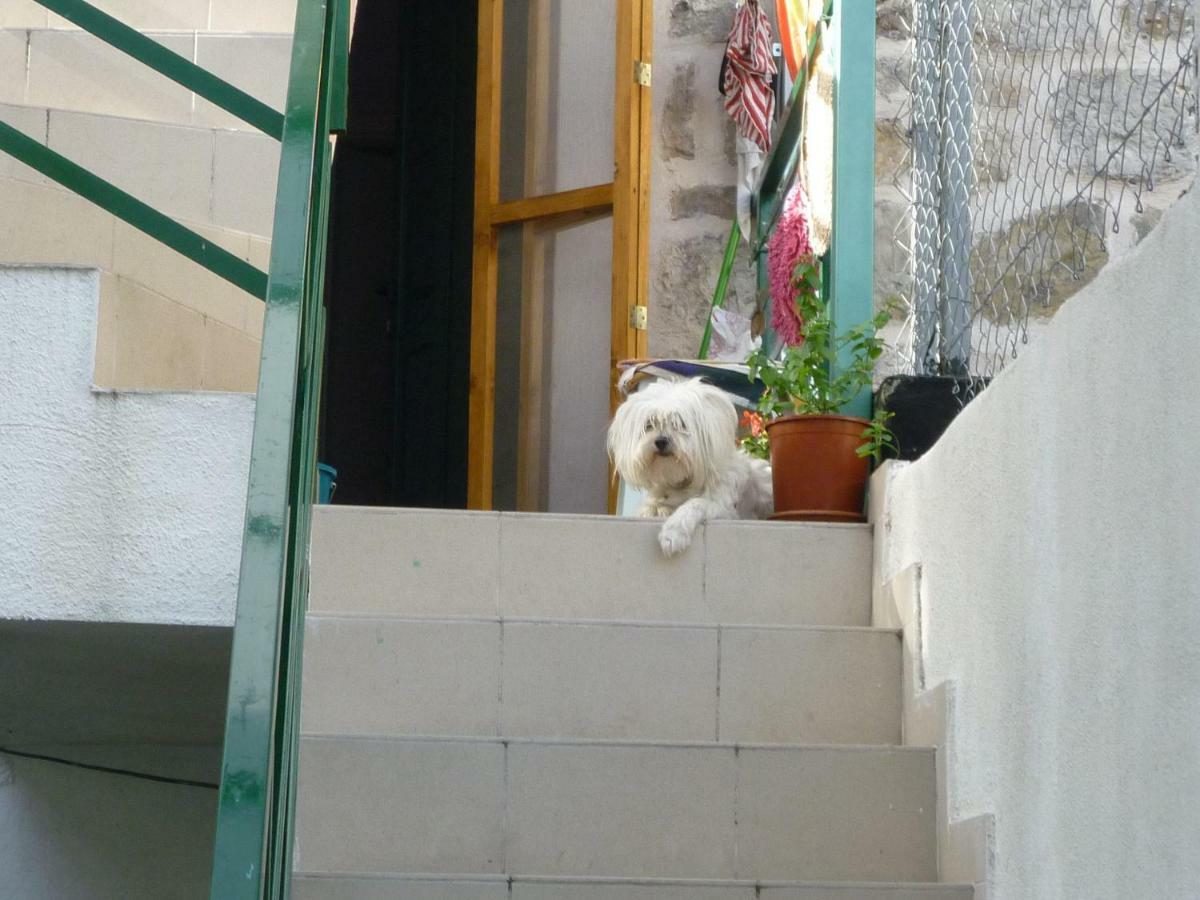 Cosy Accommodation In The Center Of سبليت المظهر الخارجي الصورة